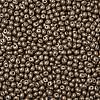 6/0 Glass Seed Beads SEED-L011-08A-09-3