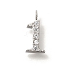 Ion Plating(IP) 304 Stainless Steel Micro Pave Cubic Zirconia Pendants STAS-H228-01P-01-1