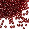 Silver Lined Glass Seed Beads SEED-H004-01B-1