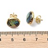 Flat Round Natural Paua Shell Stud Earring for Women EJEW-JE07126-01-4
