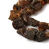 Raw Rough Natural Amber Beads Strands GG-CBAC13F-D01-01-4