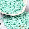 Baking Paint Glass Seed Beads X1-SEED-B001-02A-14-1