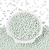 Opaque Glass Seed Beads GLAA-Q119-01-A05-2