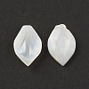 Natural Sea Shell Beads SSHEL-T012-15-4