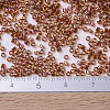 MIYUKI Delica Beads SEED-X0054-DB0170-4