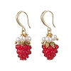 Handmade Lampwork Dangle Earrings EJEW-JE06623-2