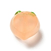 Luminous Translucent Resin Cabochons LS-RESI-B015-19A-2