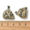 Natural Dalmatian Jasper Pendants G-Z067-02P-06-4