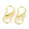 Zinc Alloy DIY Bags Adjustable Clasps Accessories PALLOY-A068-06LG-1