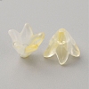 Handmade Lampwork Beads Cap LAMP-TAC0006-08F-2
