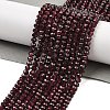 Natural Garnet Beads Strands G-K376-B08-02-2