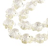 Transparent Glass Beads Strands DGLA-N021-02A-10-3
