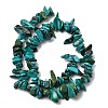 Natural HuBei Turquoise Bead Strands G-H345-A01-12-3