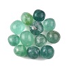 Natural Fluorite Beads G-G348-01B-50-1