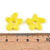 Handmade Lampwork Beads LAMP-N024-38G-3