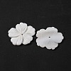 Natural Freshwater Shell Carved Beads BSHE-S304-16-2