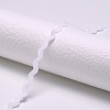 Polyester Ribbons SRIB-S050-E09-3
