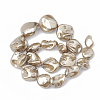Shell Pearl Beads Strands BSHE-Q031-15-2