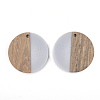 Resin & Walnut Wood Pendants RESI-T023-15A-2