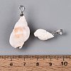 Brass & Natural Spiral Shell Pendants SHEL-Q029-18P-3