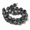 Natural Labradorite Beads Strands GG-CBAF8A8-A05-01-5