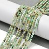 Natural Chalcedony Beads Strands G-RM250104-D9-2