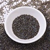 MIYUKI Delica Beads SEED-J020-DB0087-2