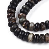 Natural Biotite Beads Strands G-T140-69A-3