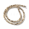 Natural Freshwater Shell Beads Strands X-SSHEL-B002-15-2