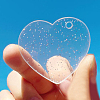 Transparent Acrylic Disc Pendants LS-ZXFQ-PW0001-041L-1
