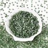 Baking Paint Glass Seed Beads GLAA-T023-43A-1