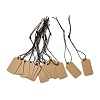 500Pcs Kraft Paper Blank Price Tags with Cord CDIS-R001-01-1