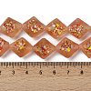 Frosted Handmade Lampwork Beads Strands LAMP-A010-01A-4