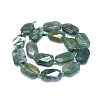 Natural Moss Agate Beads Strands G-O179-F17-2