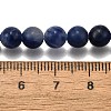 Natural Sodalite Round Bead Strands X-G-P072-27-6mm-5