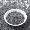 MIYUKI Round Rocailles Beads X-SEED-G007-RR0499-2