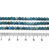 Natural Apatite Beads Strands G-G189-D16-02-5