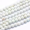 Natural Magnesite Beads Strands TURQ-G148-09-6mm-1