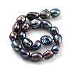 Dyed Natural Cultured Freshwater Pearl Beads Strands PEAR-P062-28F-3