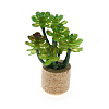 Plastic Potted Plant Mini Model PW-WGD7CCF-04-1