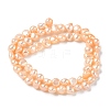 Natural Cultured Freshwater Pearl Beads Strands PEAR-C004-21F-3