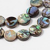 Natural Abalone Shell/Paua Shell Beads Strands SHS014-01-3