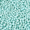 Opaque Glass Seed Beads GLAA-Q119-01-A04-3