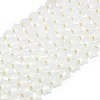 Natural Quartz Crystal Beads Strands G-P573-C03-01-3