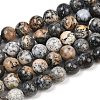 Natural Black African Opal Bead Strands G-H351-A01-01-2