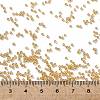 TOHO 15/0 Round Beads SEED-XTR15-0103B-4