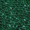 FGB Transparent Glass Seed Beads SEED-N013-01A-06-3