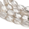 Natural Agate Beads Strands GG-CBA4812-A02-10x14MM-4