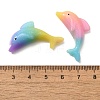 Gradient Color Resin Cabochons RESI-H035-04-3