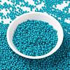 MIYUKI Round Rocailles Beads SEED-JP0009-RR4483-2